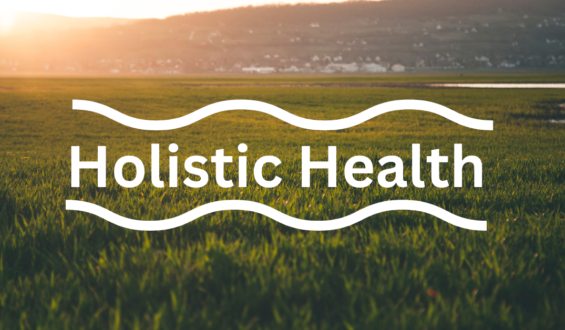Holistic Health Hacks: Transforming Your Lifestyle for Wellness