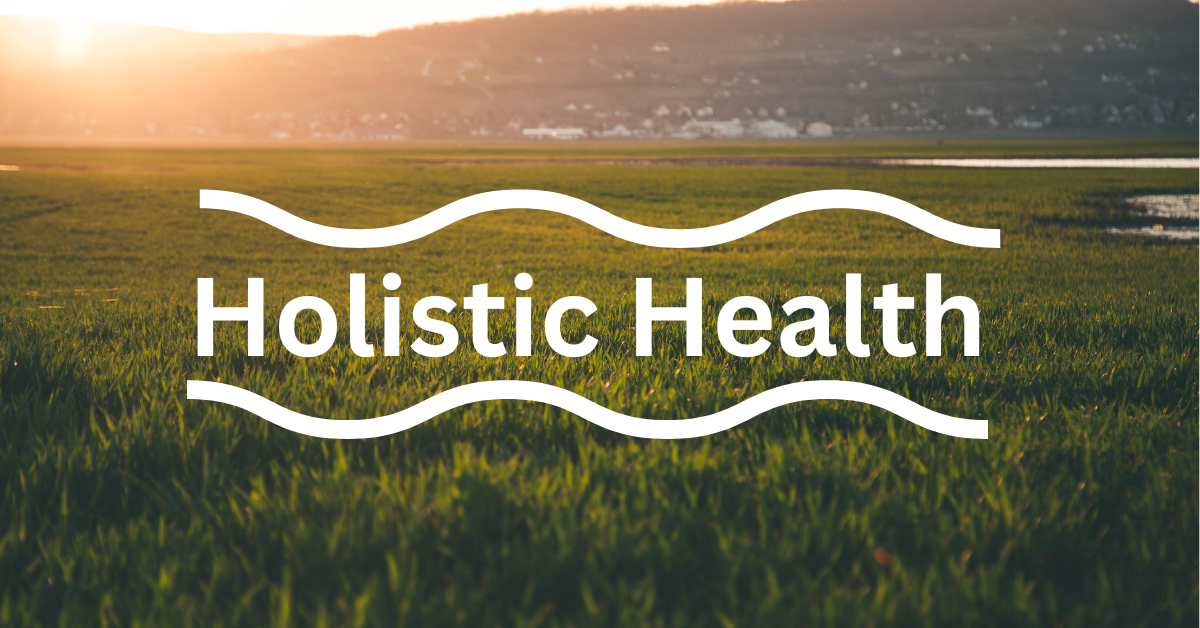 Holistic Health Hacks: Transforming Your Lifestyle for Wellness
